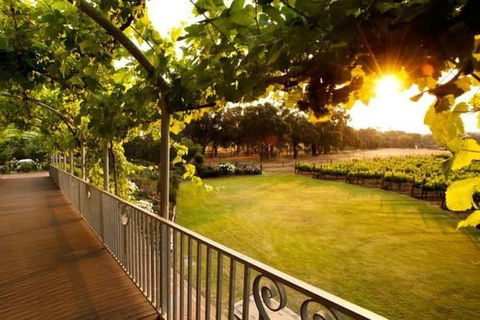 Busselton And Scenic Drive Full Day Tour - Broome Tourism 9