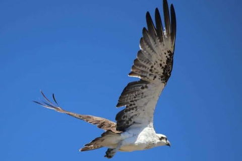 Cruise + A Winery Or Brewery Scenic Tour - Broome Tourism 8