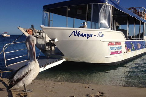 Coral Bay 1-Hour Coral Viewing - Broome Tourism 0