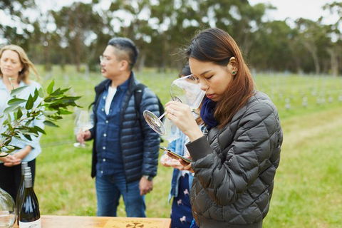 Organic Vineyard/Farm Tour - Broome Tourism 1