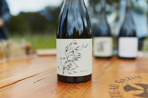 Organic Vineyard/Farm Tour - Broome Tourism 8