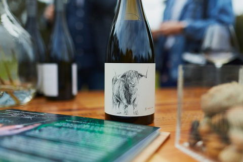 Organic Vineyard/Farm Tour - Broome Tourism 5