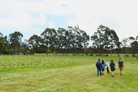 Organic Vineyard/Farm Tour - Broome Tourism 7