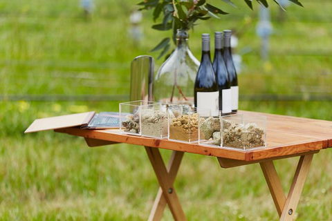 Organic Vineyard/Farm Tour - Broome Tourism 3