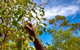 Mitchell Falls And Kimberley Coastal Camp (3night) - thumb 2