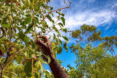 Mitchell Falls And Kimberley Coastal Camp (3night) - Broome Tourism 2