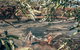 Mitchell Falls And Kimberley Coastal Camp (3night) - thumb 10