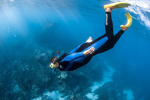 Full-Day Whale Watching Snorkeling And Swimming At Coral Bay - Broome Tourism 2