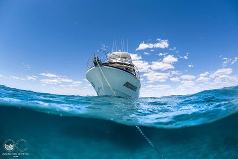 Full-Day Whale Watching Snorkeling And Swimming At Coral Bay - Broome Tourism 3