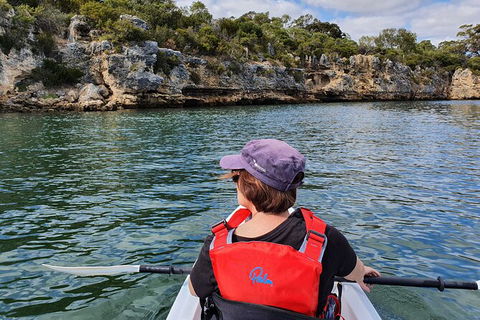 Cliffs And Caves Kayak Tour In Swan River - Broome Tourism 1