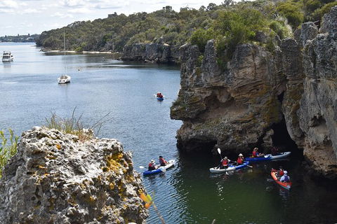 Cliffs And Caves Kayak Tour In Swan River - Broome Tourism 2