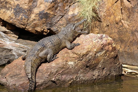 Ord River Experience With Riverside Lunch - Broome Tourism 2