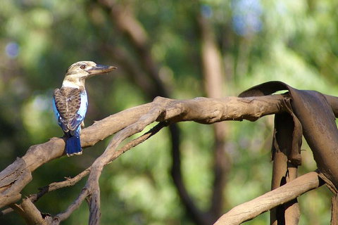 Ord River Experience With Riverside Lunch - Broome Tourism 1