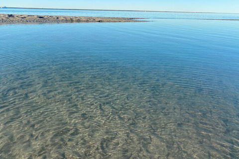The Island Sandbar Experience - Broome Tourism 4