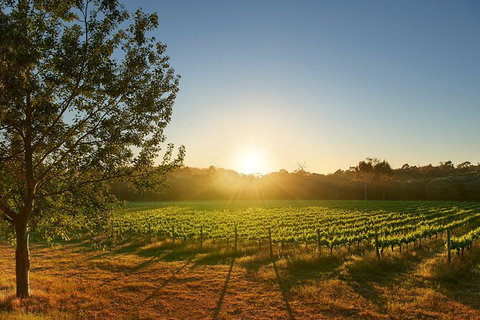 Private Barrel Hall Wine Tasting In The Margaret River Region - Broome Tourism 3