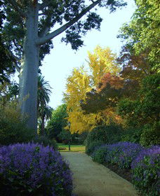Albury Botanic Garden - Broome Tourism 0