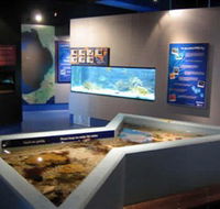 Marine and Freshwater Discovery Centre - Broome Tourism