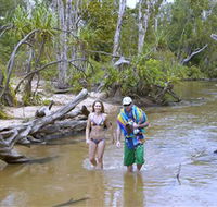 Tjuwaliyn / Douglas Hot Springs Park - Broome Tourism
