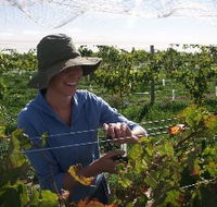 Kingsdale Wines - Broome Tourism