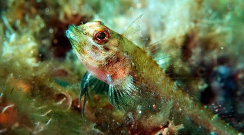 Busselton Jetty & Underwater Observatory Tour - Broome Tourism 7