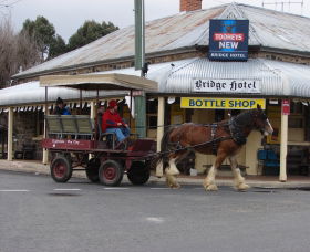 Bathurst Farm Experience - Broome Tourism 0