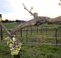 Nalbra Estate Wines - Broome Tourism