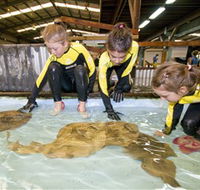 Australian Shark and Ray Centre - Broome Tourism