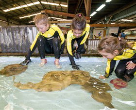 Australian Shark And Ray Centre - Broome Tourism 0