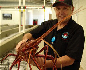 Lobster Shack - Broome Tourism 0