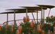 Reabold Hill Summit Boardwalk, Bold Park - thumb 0
