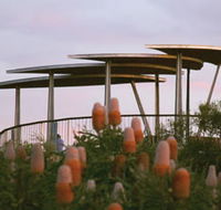 Reabold Hill Summit Boardwalk Bold Park - Broome Tourism