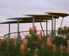 Reabold Hill Summit Boardwalk, Bold Park - Broome Tourism 0
