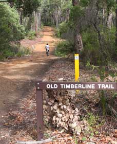 Nannup WA Broome Tourism