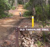 Old Timberline and Sidings Rail Trails - Broome Tourism