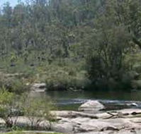 Wellington Discovery Forest - Broome Tourism