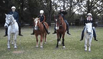 Valhalla Horse Riding - Broome Tourism 1