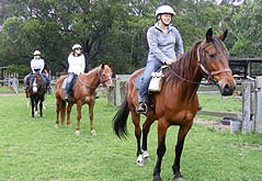 Valhalla Horse Riding - Broome Tourism 2