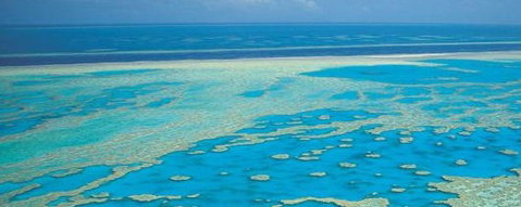 Aristocat Snorkel And Scuba Port Douglas - Broome Tourism 3