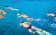 Aristocat Snorkel And Scuba Port Douglas - thumb 4