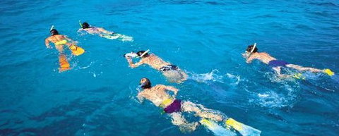 Aristocat Snorkel And Scuba Port Douglas - Broome Tourism 4