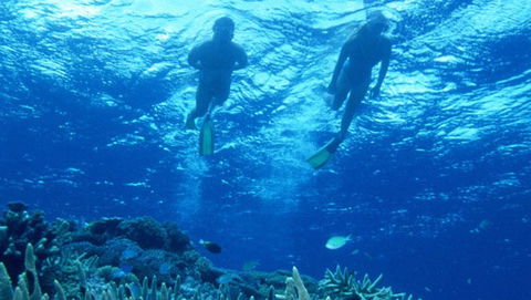 Air Whitsunday Day Tours - Broome Tourism 1
