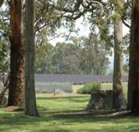 Aloomba Lavender - Broome Tourism