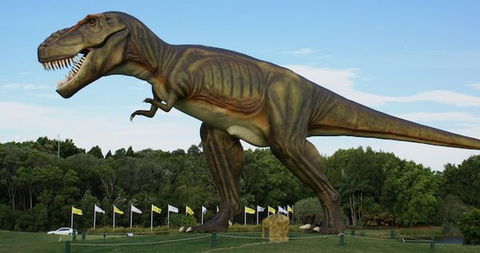 Palmersaurus Park - Broome Tourism 1