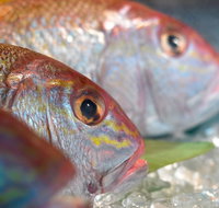 Coro Hotel - Lure Seafood Restaurant - Broome Tourism