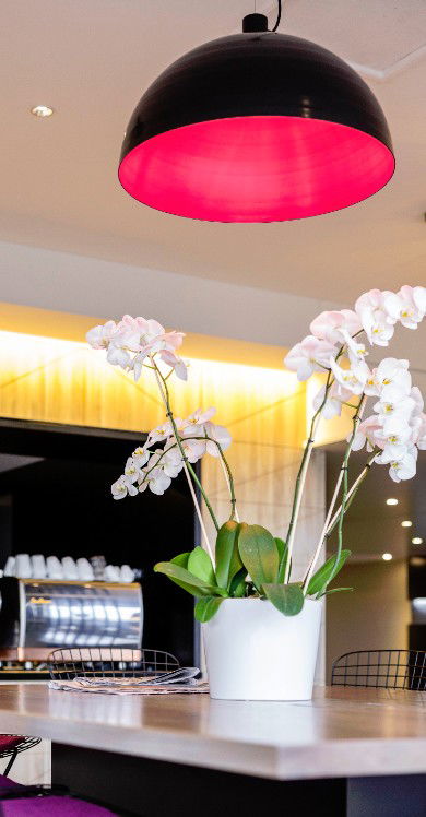MRepublic Restaurant, Bar And Lounge - Broome Tourism 4