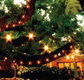 The Oaks - Broome Tourism