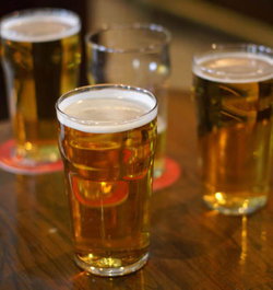 Toongabbie NSW Broome Tourism