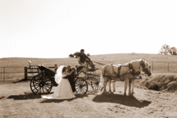 Sweeney's At Scenic Hills - Broome Tourism 1