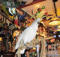 A Friend In Hand - Broome Tourism