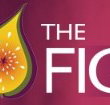 Naked Fig - Broome Tourism